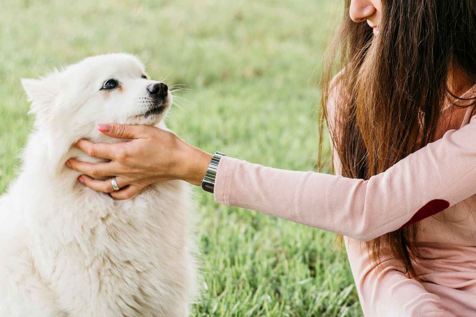 Benessere del Cane: Consigli e Prodotti Essenziali