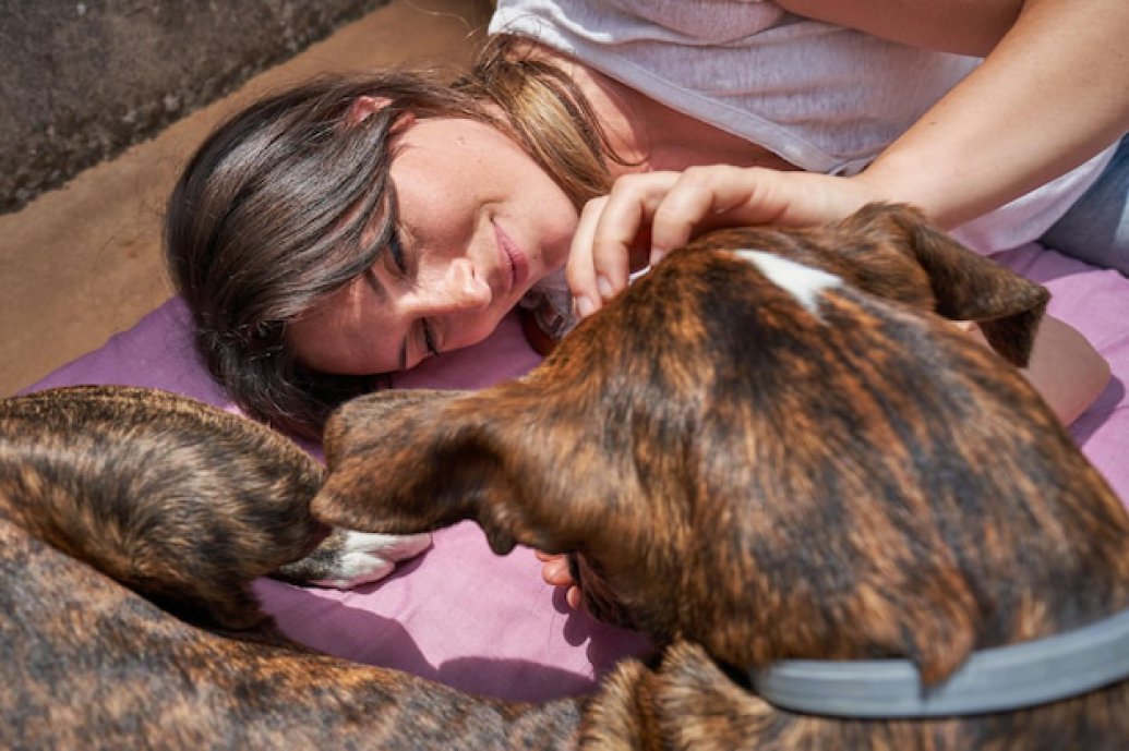 Cura e benessere per cani e gatti: i prodotti essenziali